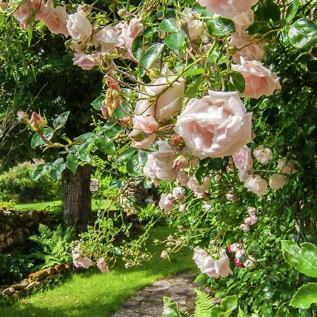 Farmhouse In Cybranet With Private Garden * Saint-Cybranet